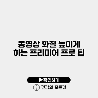 동영상 화질 높이게 하는 프리미어 프로 팁