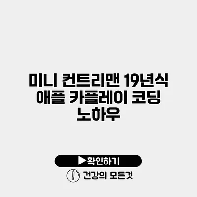 미니 컨트리맨 19년식 애플 카플레이 코딩 노하우