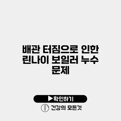 배관 터짐으로 인한 린나이 보일러 누수 문제