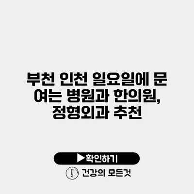 부천 인천 일요일에 문 여는 병원과 한의원, 정형외과 추천