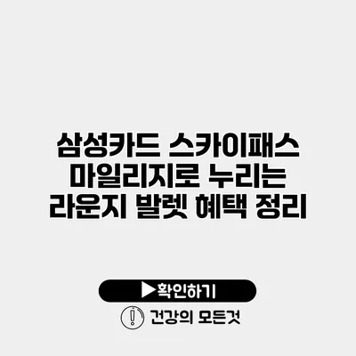 삼성카드 스카이패스 마일리지로 누리는 라운지 발렛 혜택 정리