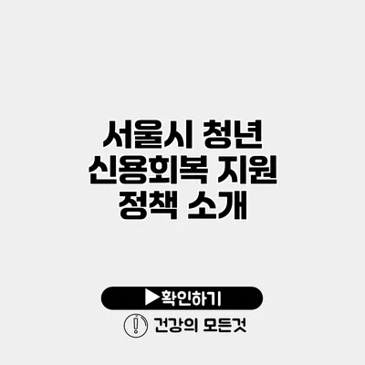 서울시 청년 신용회복 지원 정책 소개