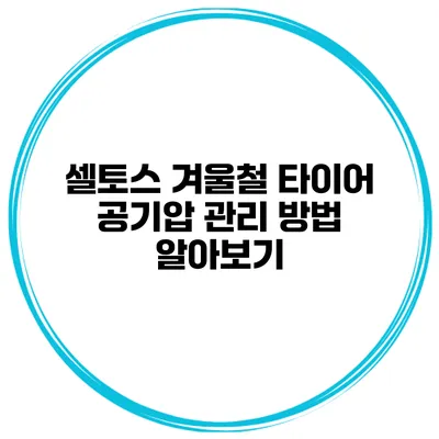 셀토스 겨울철 타이어 공기압 관리 방법 알아보기