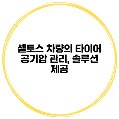 셀토스 차량의 타이어 공기압 관리, 솔루션 제공