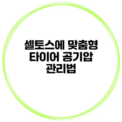 셀토스에 맞춤형 타이어 공기압 관리법