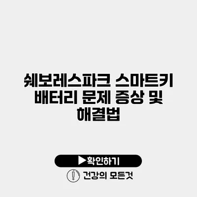 쉐보레스파크 스마트키 배터리 문제 증상 및 해결법