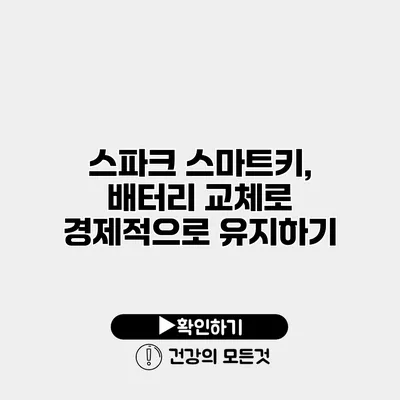 스파크 스마트키, 배터리 교체로 경제적으로 유지하기