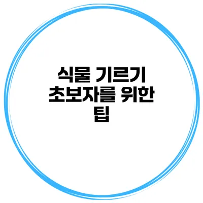 식물 기르기 초보자를 위한 팁