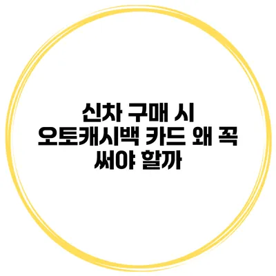 신차 구매 시 오토캐시백 카드 왜 꼭 써야 할까?
