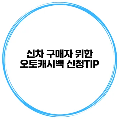 신차 구매자 위한 오토캐시백 신청TIP