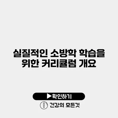 실질적인 소방학 학습을 위한 커리큘럼 개요