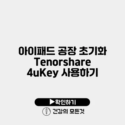 아이패드 공장 초기화 Tenorshare 4uKey 사용하기