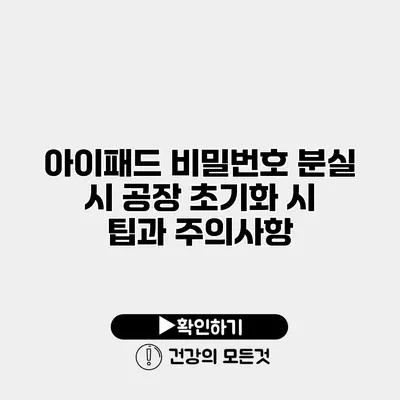 아이패드 비밀번호 분실 시 공장 초기화 시 팁과 주의사항