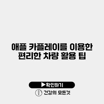 애플 카플레이를 이용한 편리한 차량 활용 팁