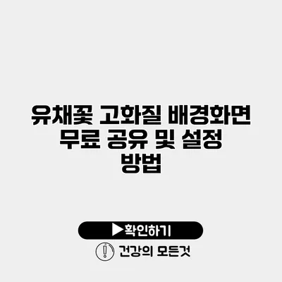 유채꽃 고화질 배경화면 무료 공유 및 설정 방법