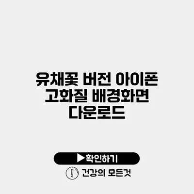 유채꽃 버전 아이폰 고화질 배경화면 다운로드