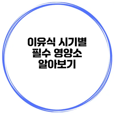 이유식 시기별 필수 영양소 알아보기