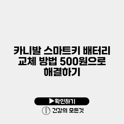 카니발 스마트키 배터리 교체 방법 500원으로 해결하기