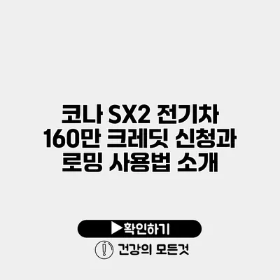 코나 SX2 전기차 160만 크레딧 신청과 로밍 사용법 소개