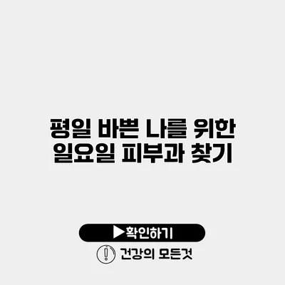 평일 바쁜 나를 위한 일요일 피부과 찾기