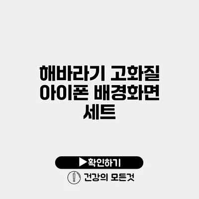 해바라기 고화질 아이폰 배경화면 세트