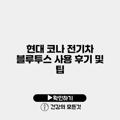 현대 코나 전기차 블루투스 사용 후기 및 팁