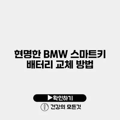 현명한 BMW 스마트키 배터리 교체 방법
