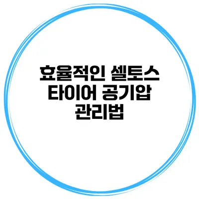 효율적인 셀토스 타이어 공기압 관리법